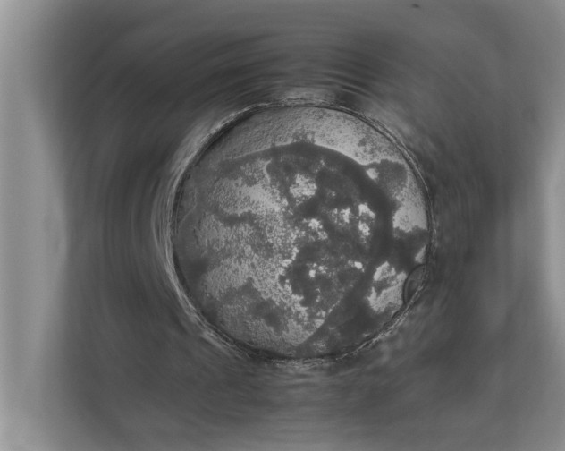 X0000112830241200909041508