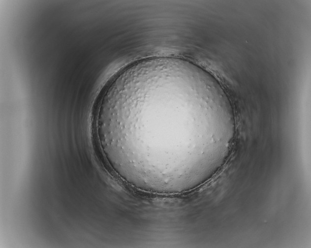 X0000112830242200909041508