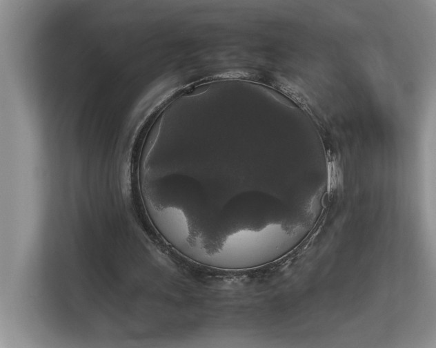 X0000112830243200909041508