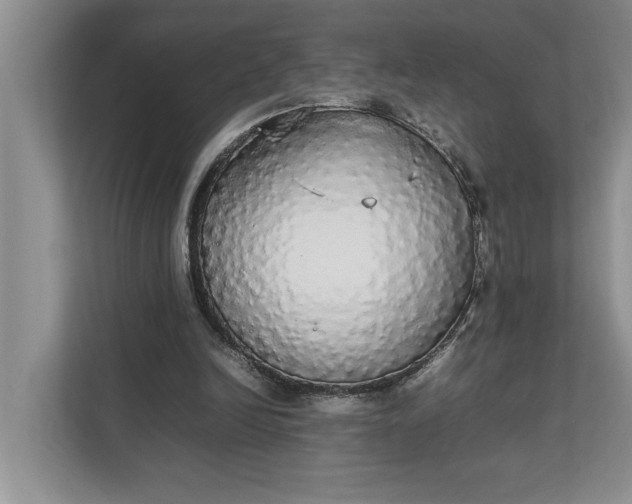 X0000112830246200909041508