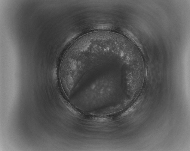 X0000112830249200909041508