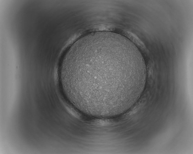 X0000112830250200909041508