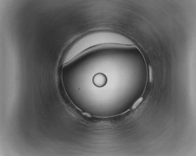 X0000112830252200909041508