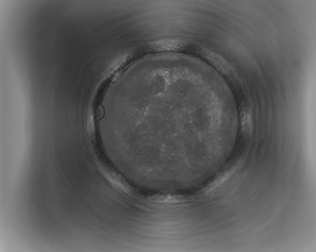 X0000112830254200909041508