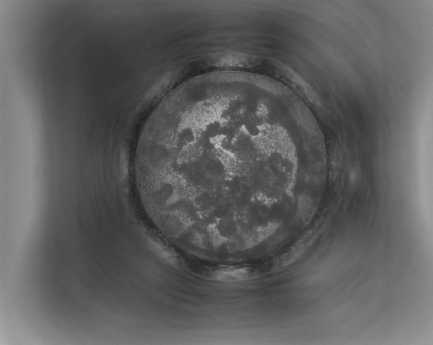 X0000112830257200909041508