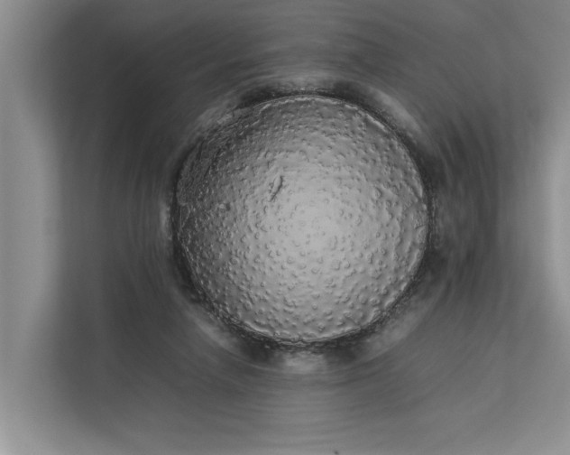 X0000112830258200909041508