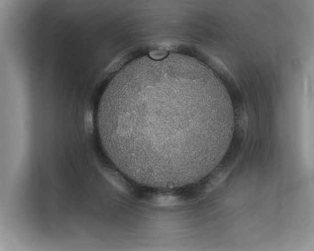 X0000112830262200909041508