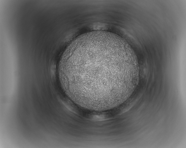 X0000112830263200909041508