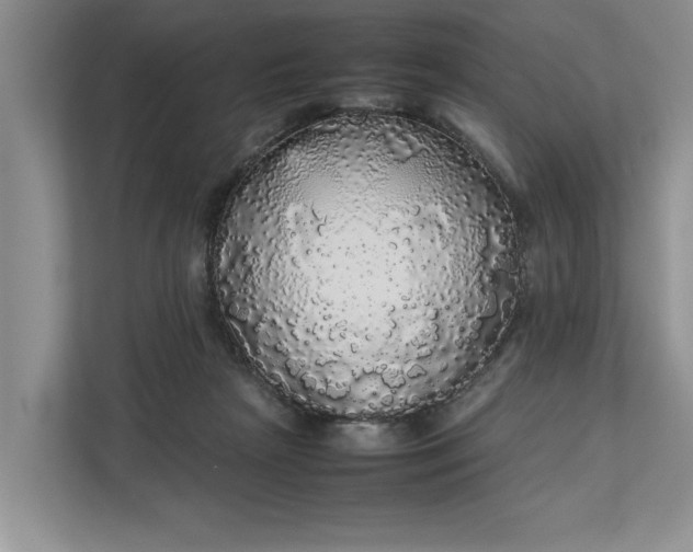 X0000112830265200909041508