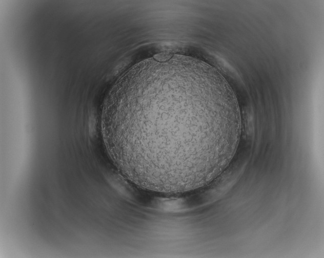 X0000112830266200909041508