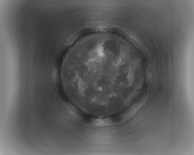 X0000112830270200909041508