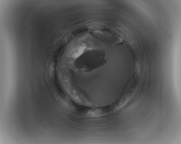 X0000112830271200909041508