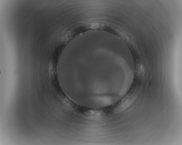 X0000112830272200909041508