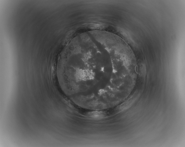 X0000112830273200909041508