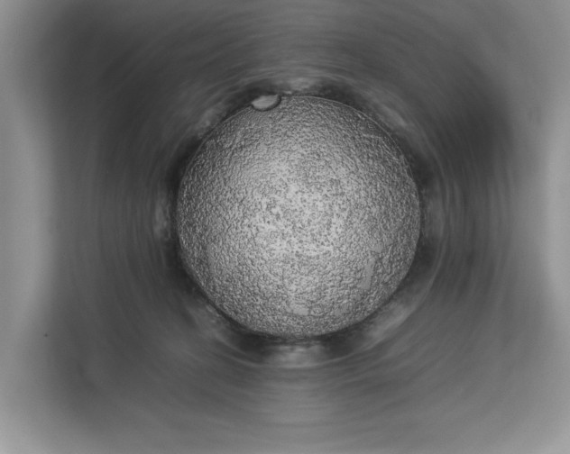 X0000112830274200909041508