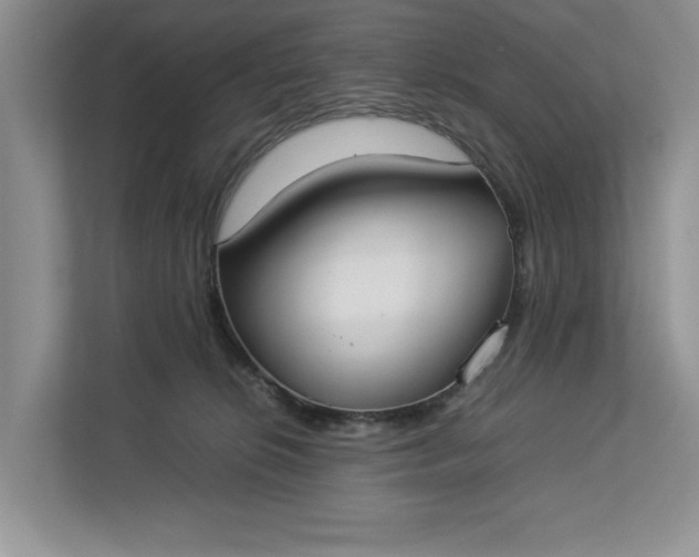 X0000112830276200909041509