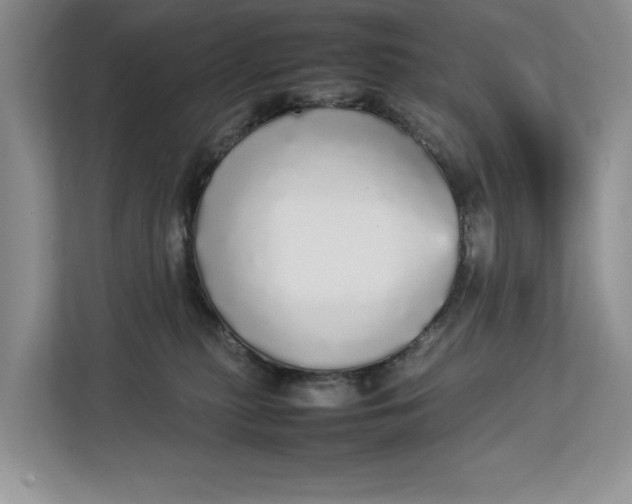 X0000112830279200909041509