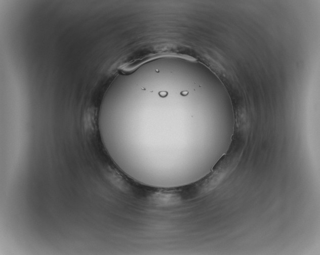 X0000112830280200909041509