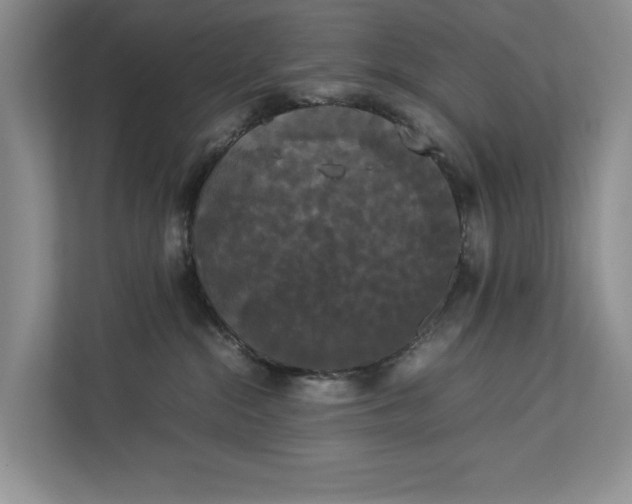 X0000112830284200909041509