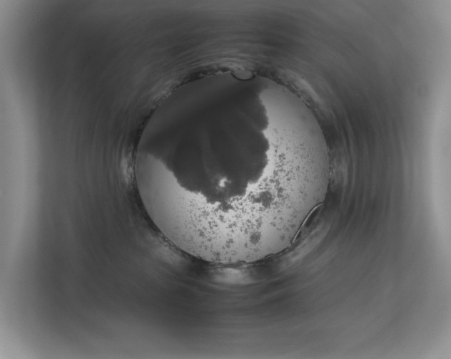 X0000112830285200909041509