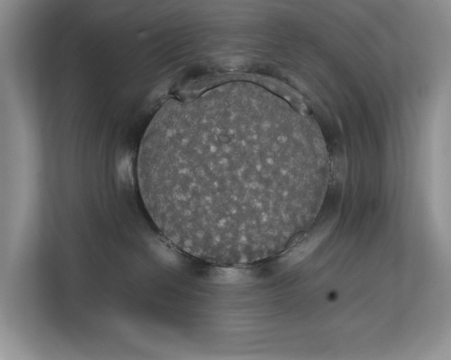 X0000112830286200909041509