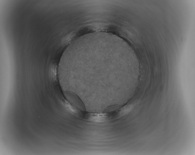 X0000112830288200909041509