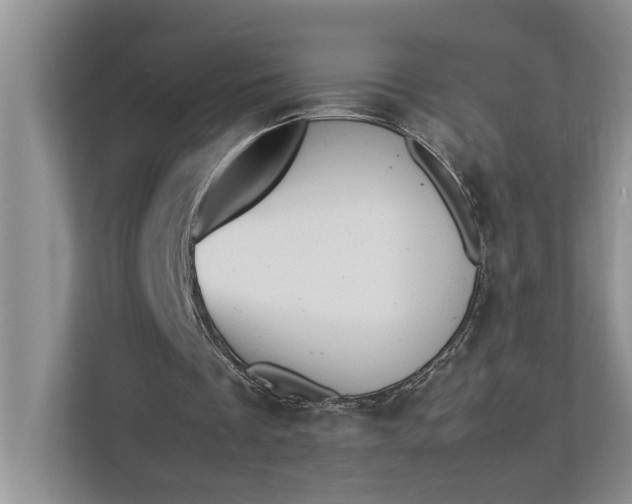 X0000112830289200909041508