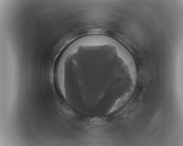 X0000112830290200909041508