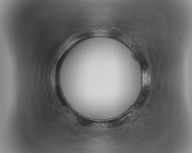 X0000112830291200909041508