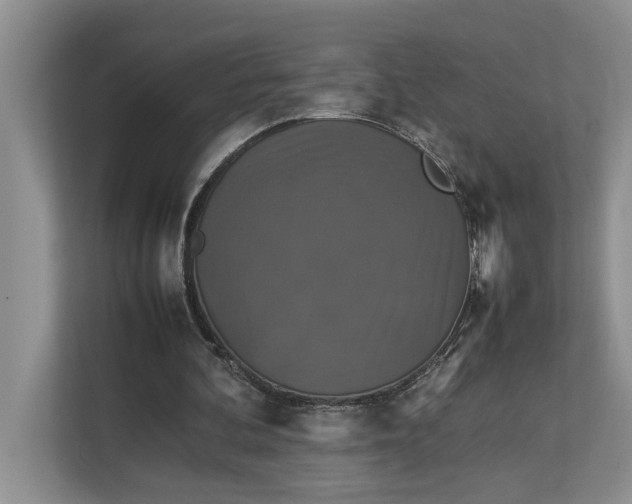 X0000112830292200909041508