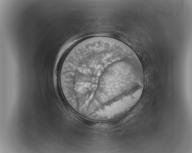 X0000112830294200909041508