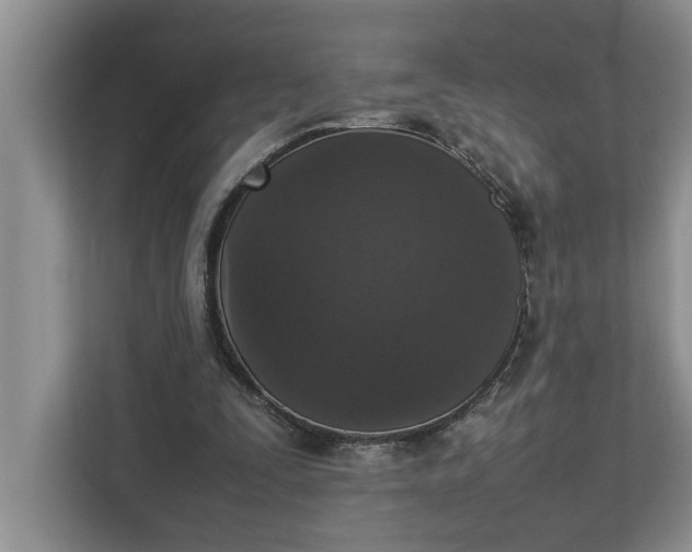 X0000112830295200909041508