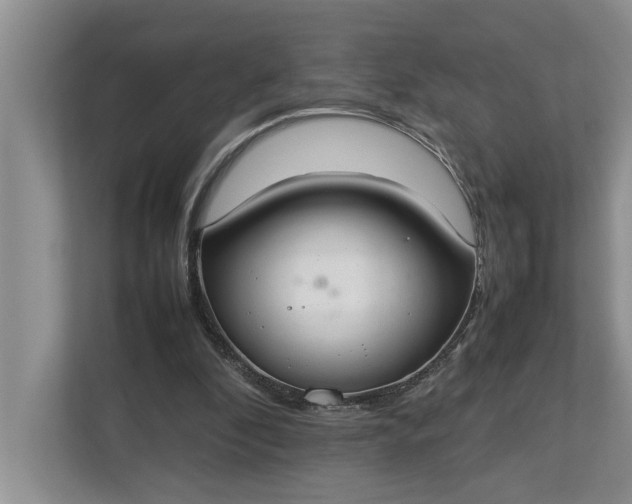 X0000112830296200909041508