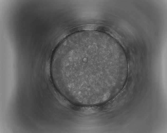 X0000112830297200909041508