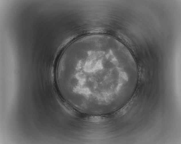 X0000112830298200909041508