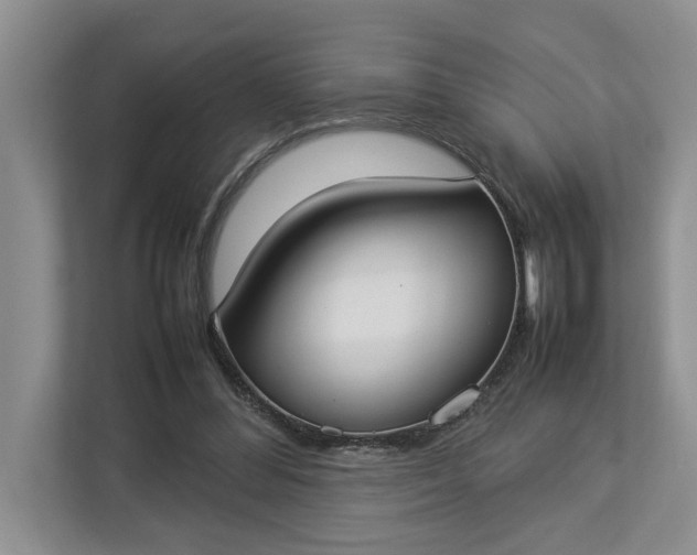 X0000112830300200909041508