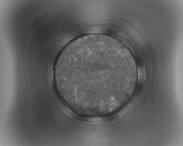 X0000112830301200909041508