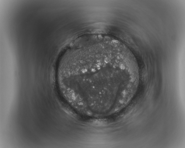 X0000112830303200909041508