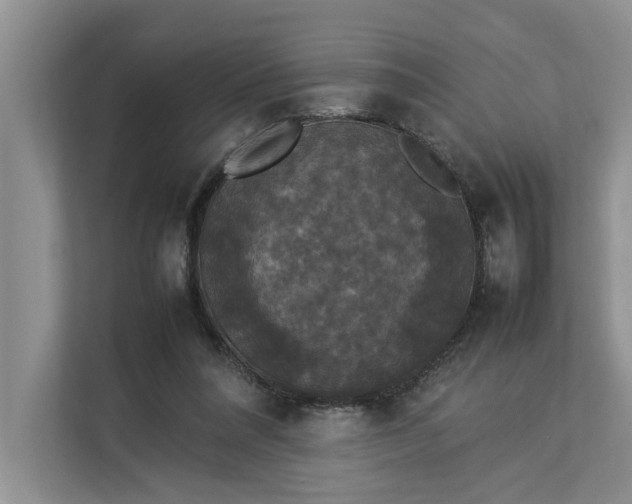 X0000112830304200909041508