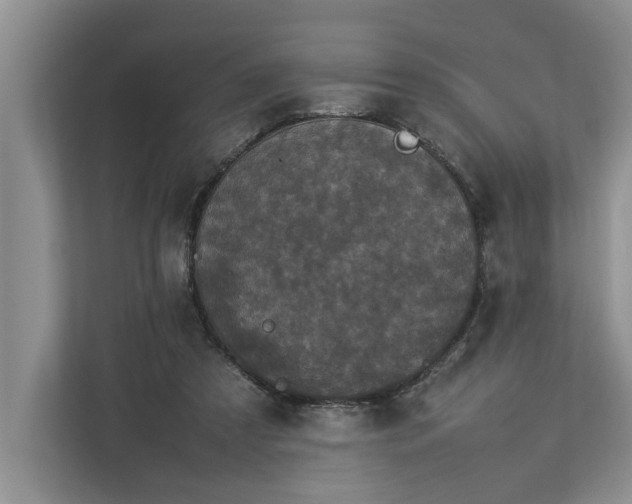 X0000112830305200909041508