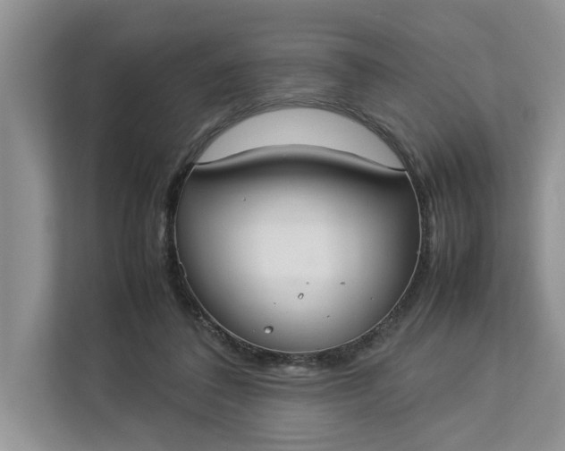 X0000112830308200909041508