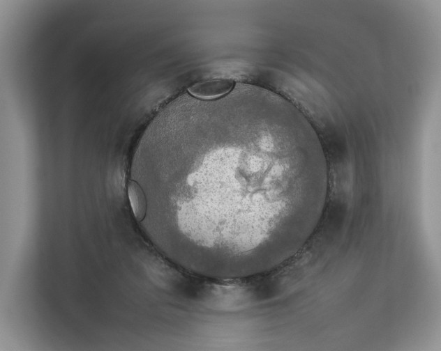 X0000112830309200909041508