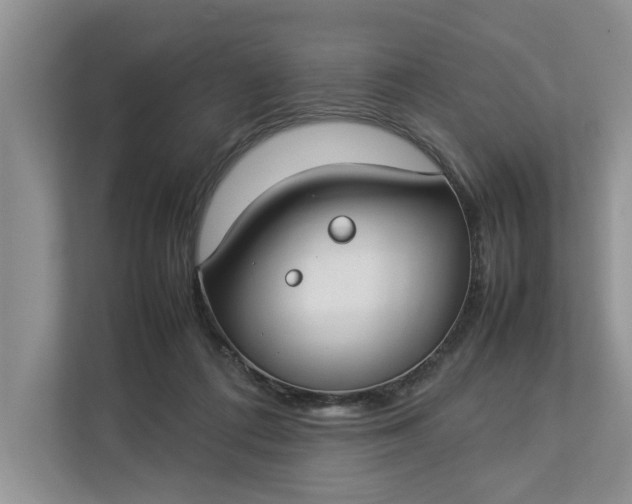 X0000112830312200909041508