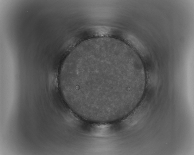 X0000112830313200909041508