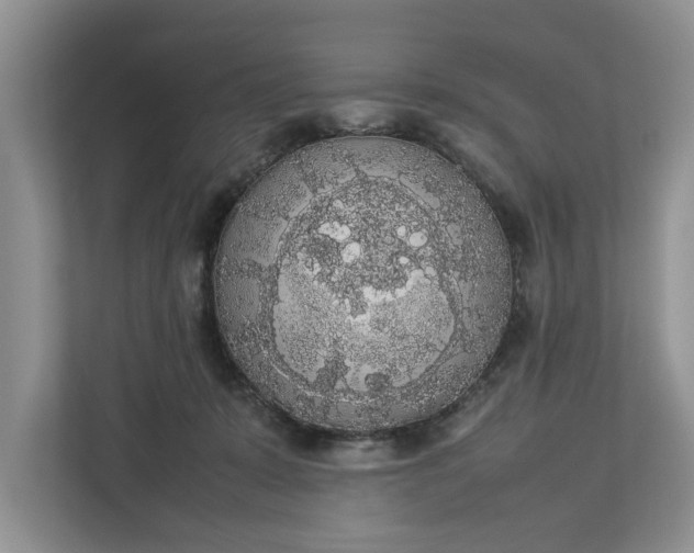 X0000112830319200909041508