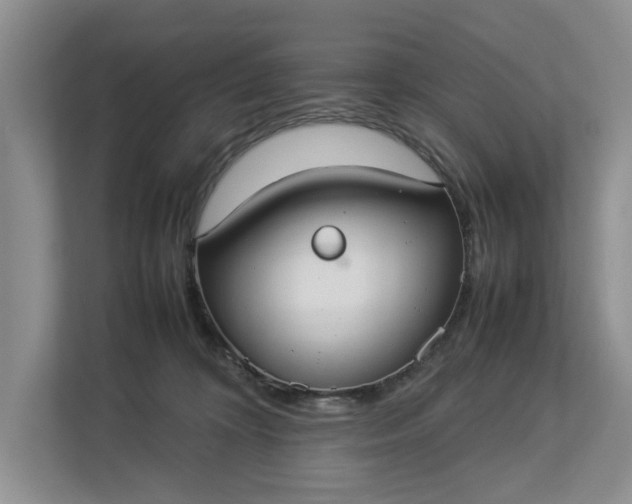 X0000112830324200909041508