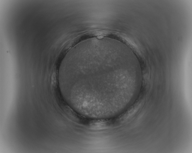 X0000112830325200909041508