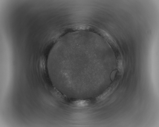 X0000112830326200909041508