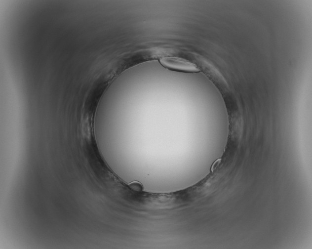 X0000112830329200909041508