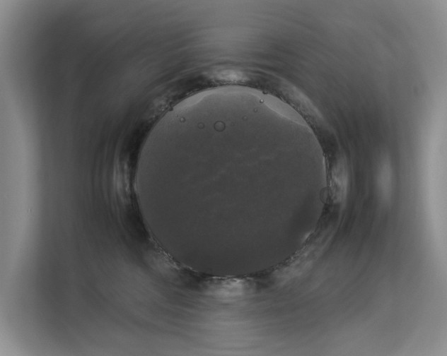 X0000112830330200909041508